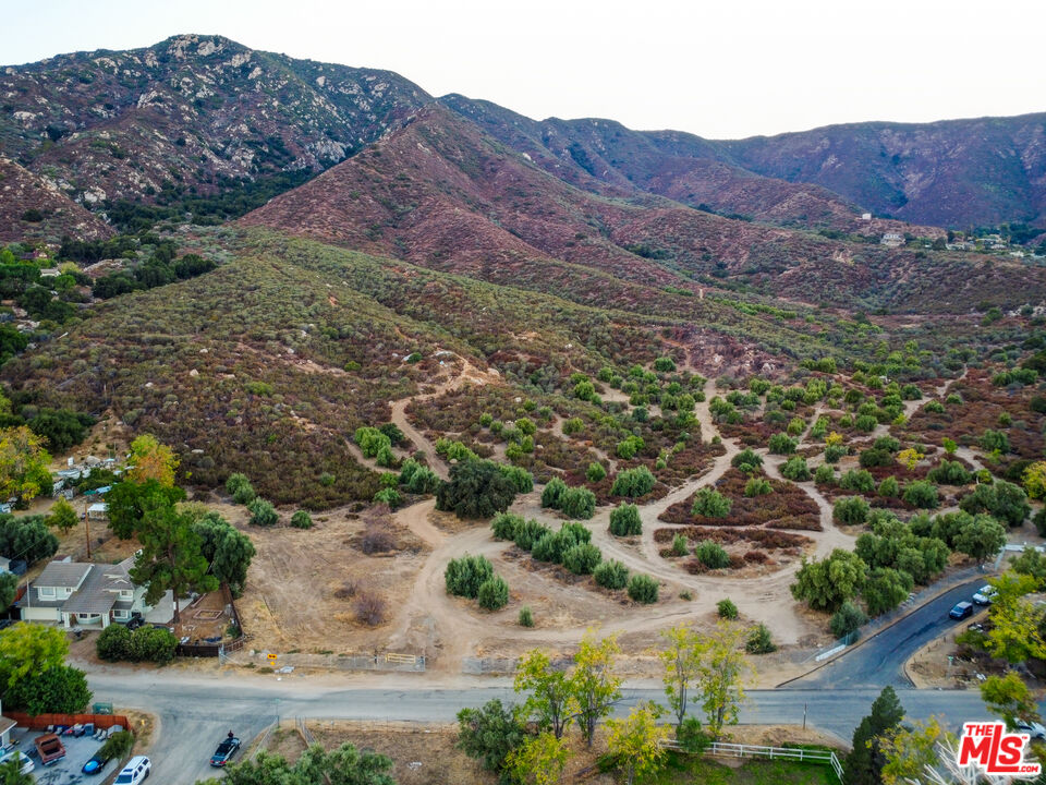 an aerial view of mountain and tree