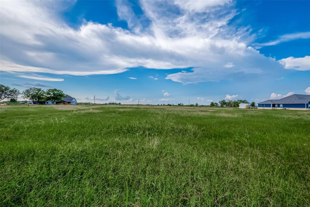 a view of yard with grass and trees