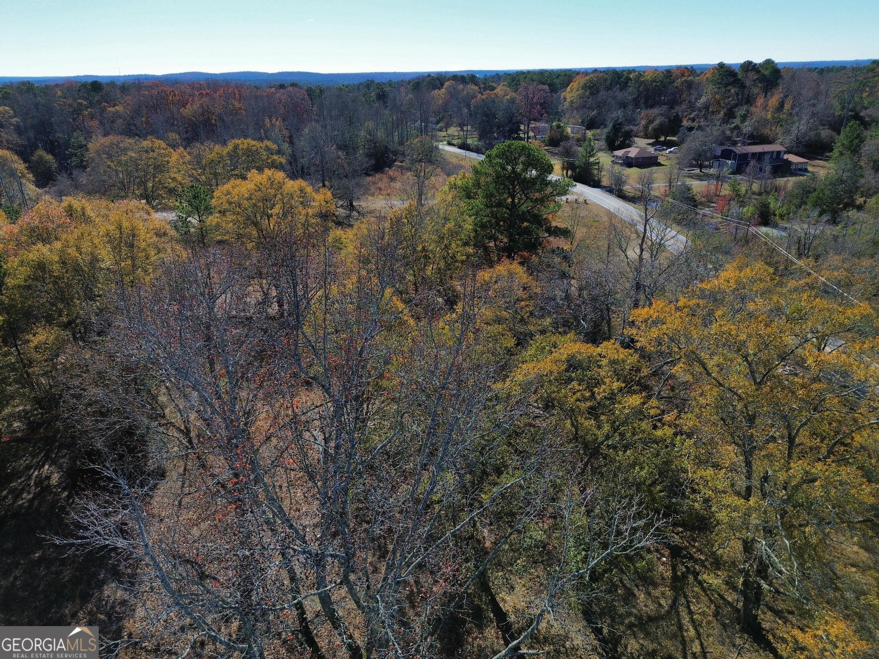 a view of a street with a forest