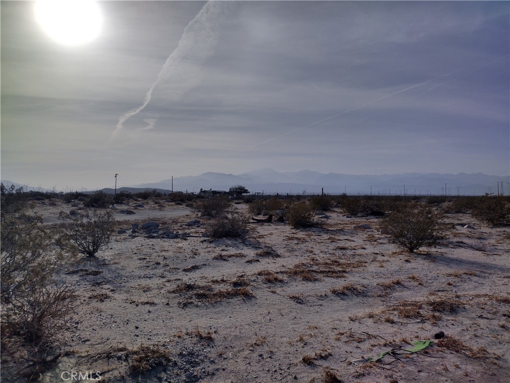 a view of a dry field with trees