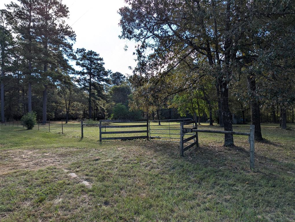 a view of a park with a bench and trees