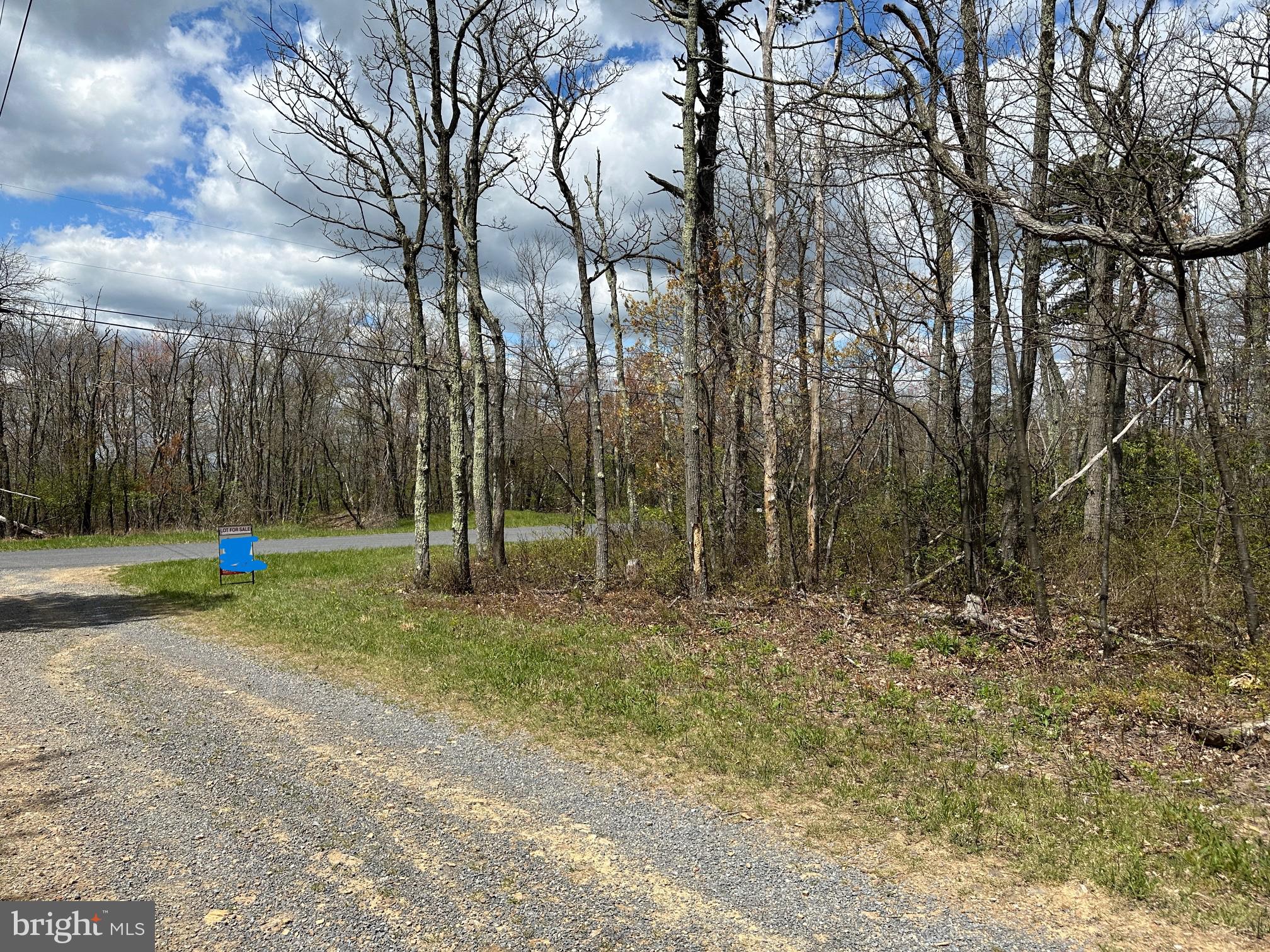 a view of outdoor space with trees