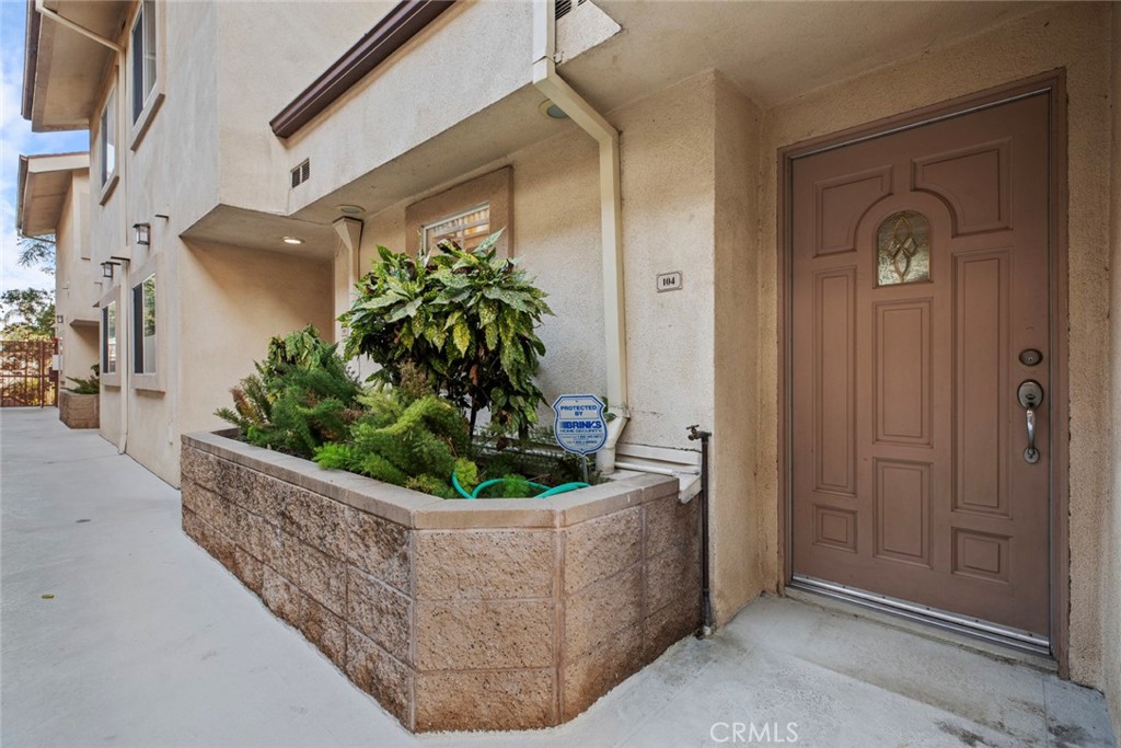 a view of a potted plants in front of a door