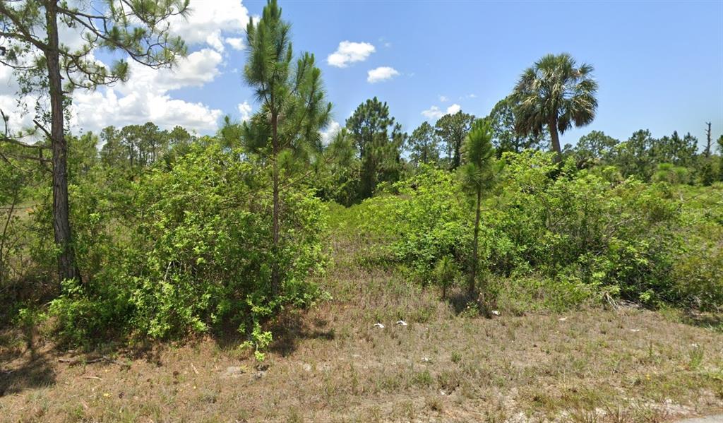 a view of a garden