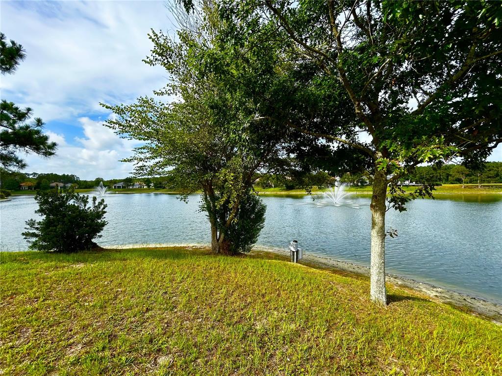 Lot View to back towards Water