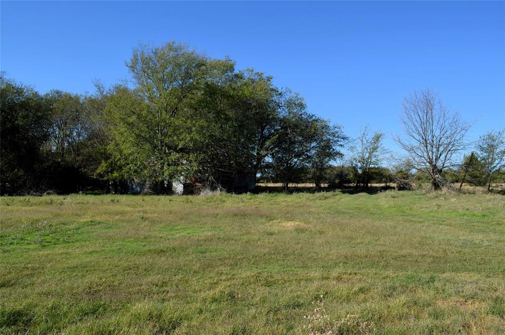 a big yard with trees in the background