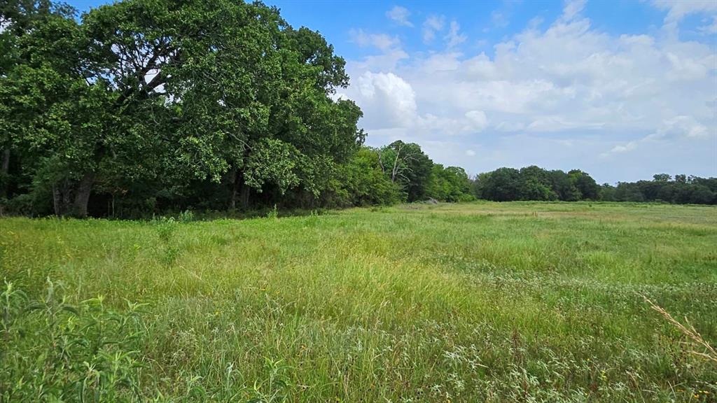 a view of a green field with wooden fence