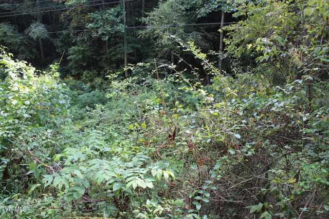 $45,333 | Tbd Campbell Hollow Road