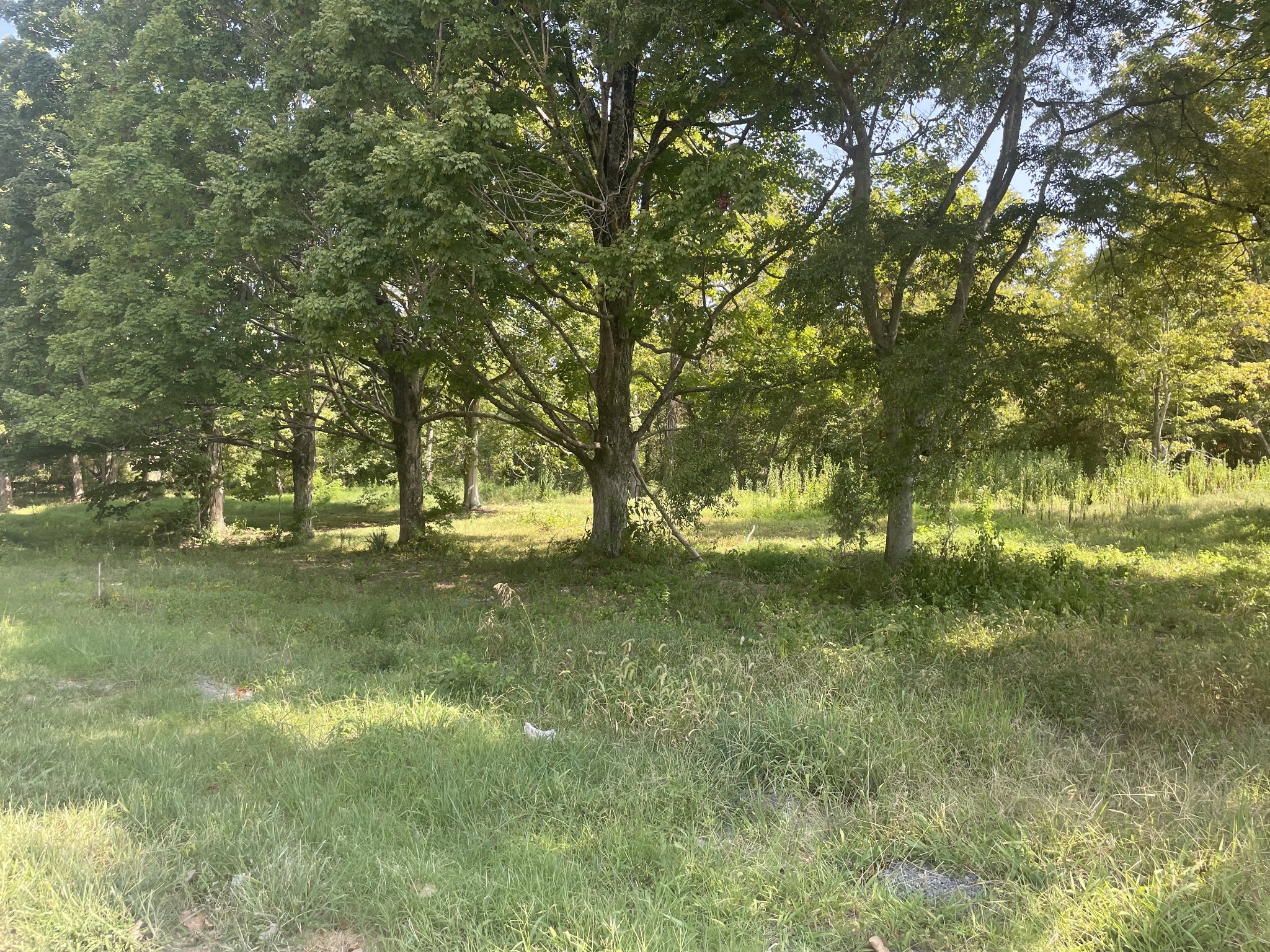 a view of outdoor space and yard