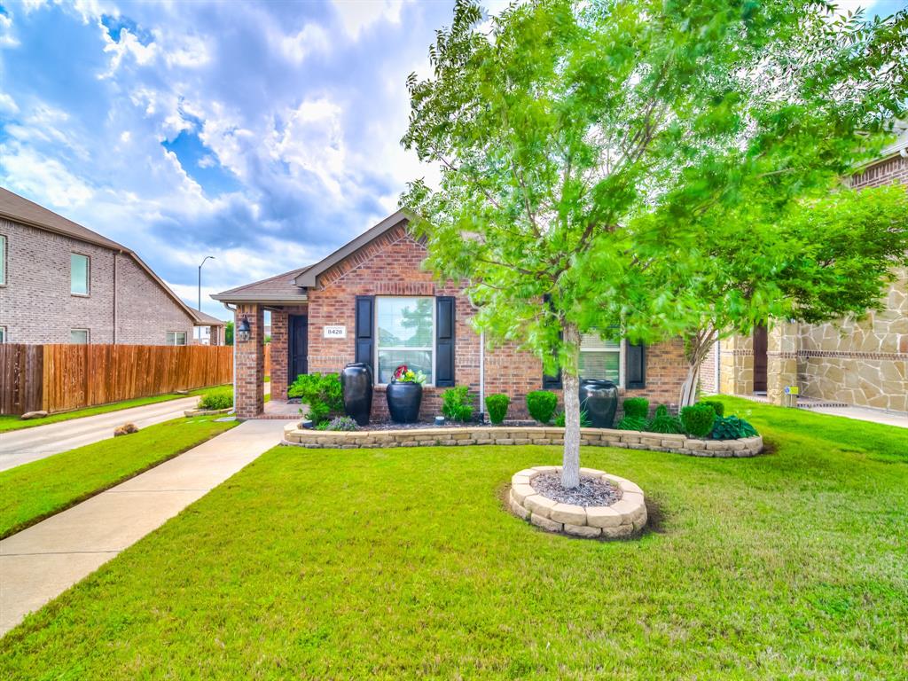 a view of a house with a big yard and a large tree