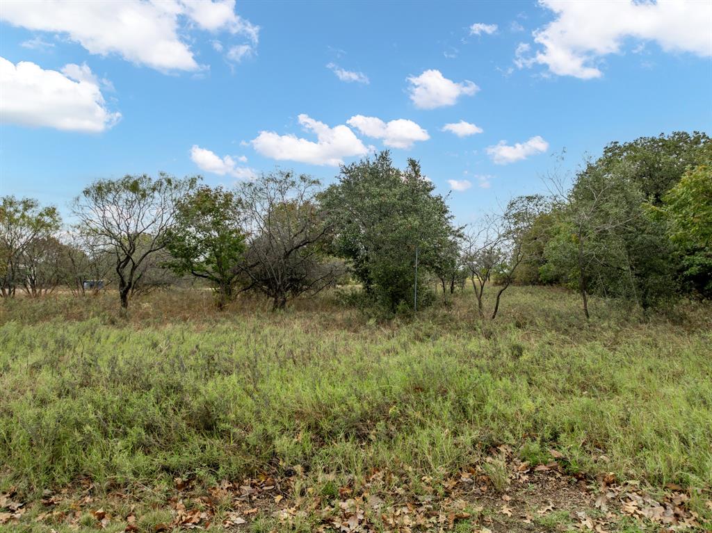 a view of a field of grass and trees