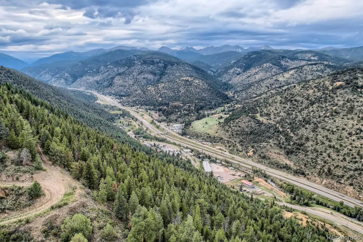 a view of a forest with a mountain