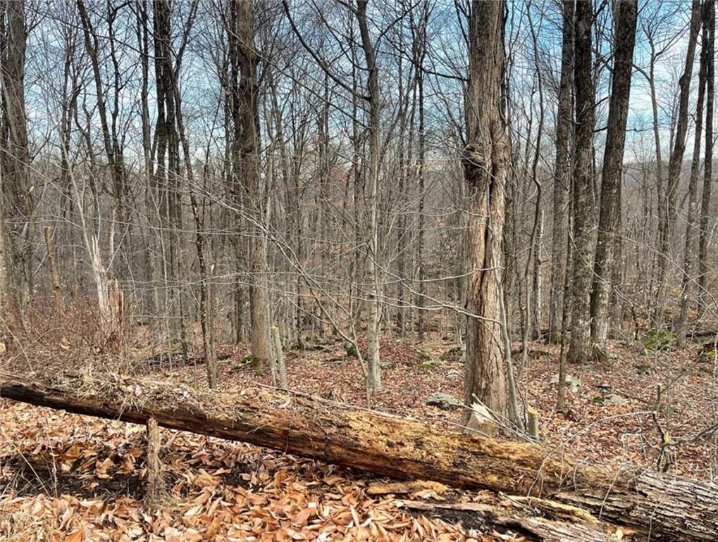 Partial wooded, 5 acre lot