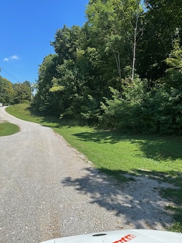 a view of a park