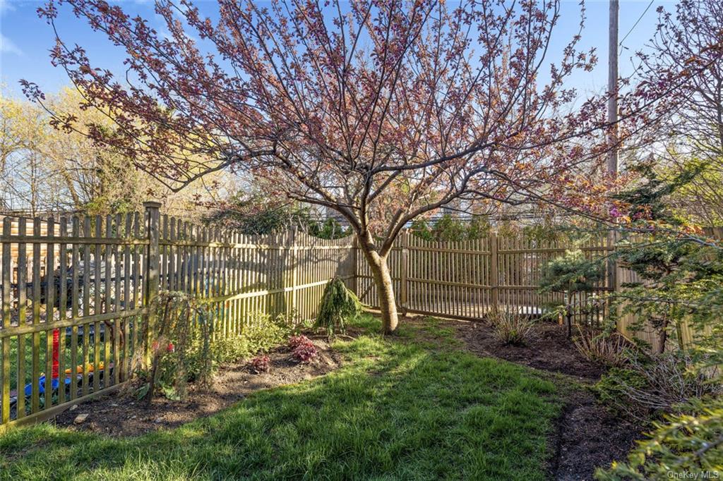 a view of backyard