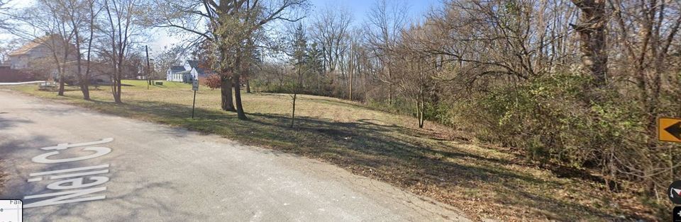 a view of a yard with a tree