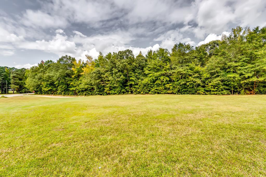 a view of an outdoor space and a yard