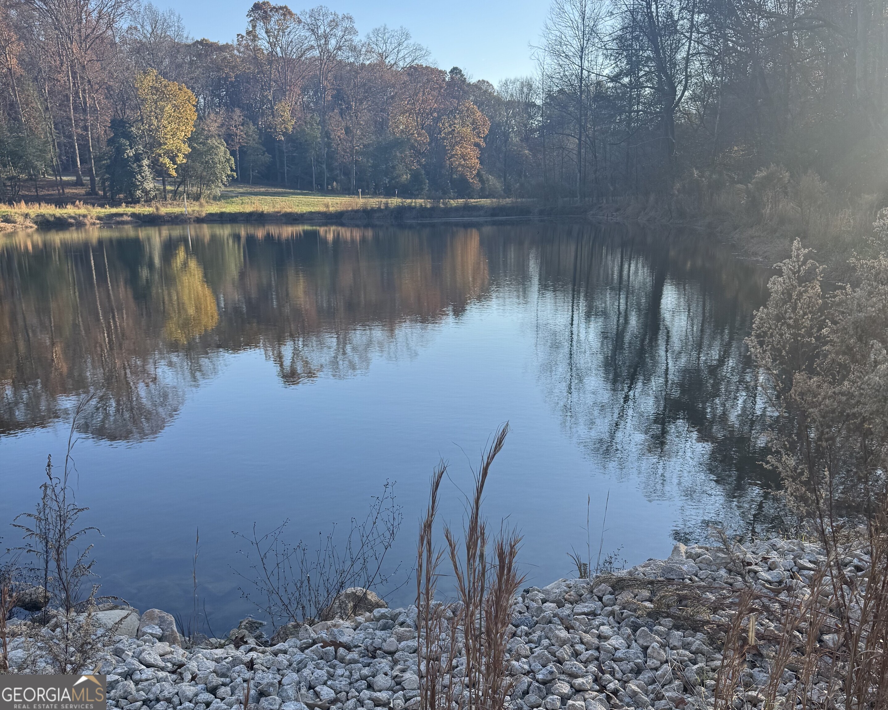 a view of a lake with a forest