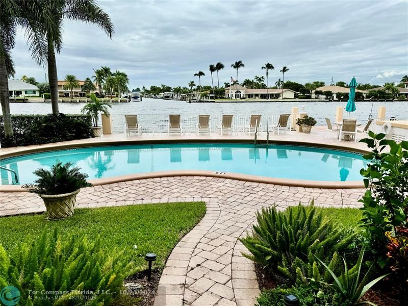 a view of a swimming pool with a yard