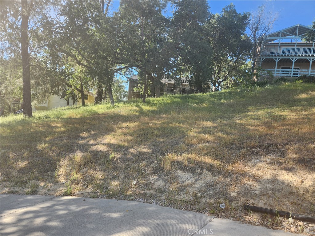 a view of a yard with a house