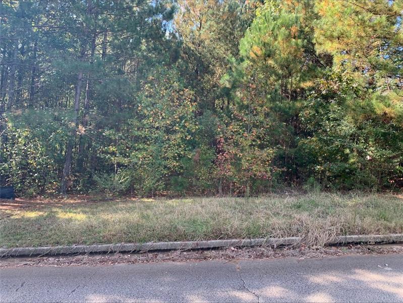 a view of a yard with a tree