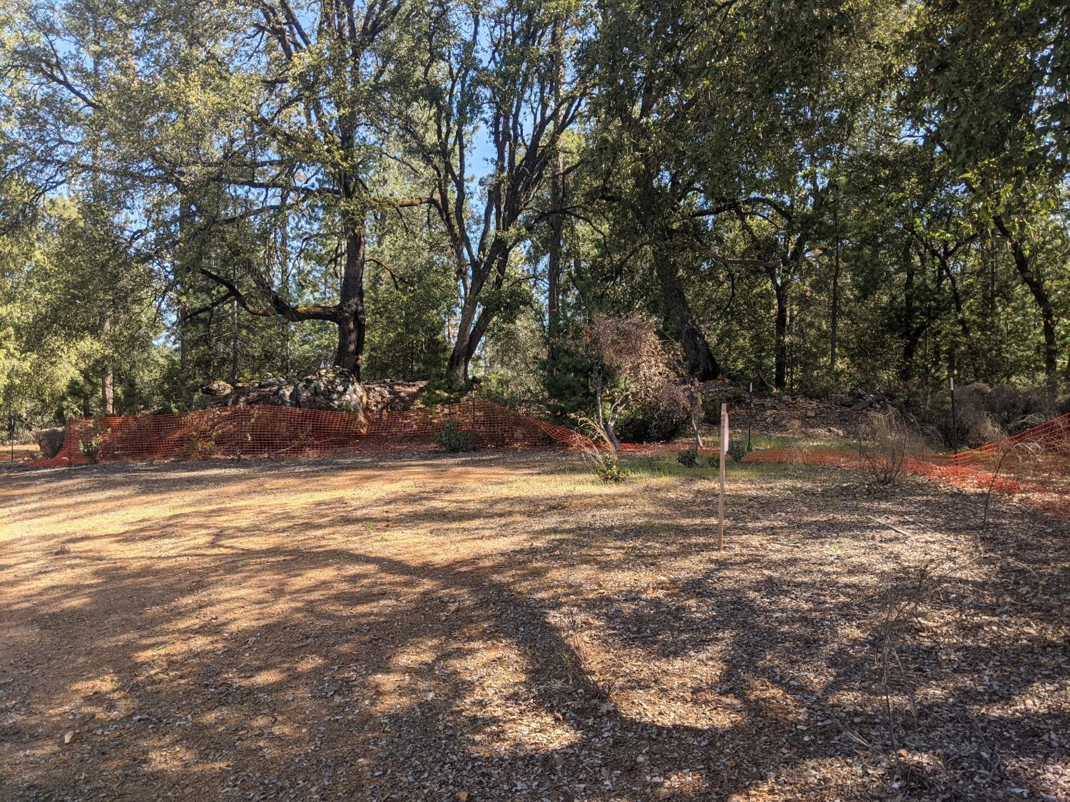 a view of a yard with a tree