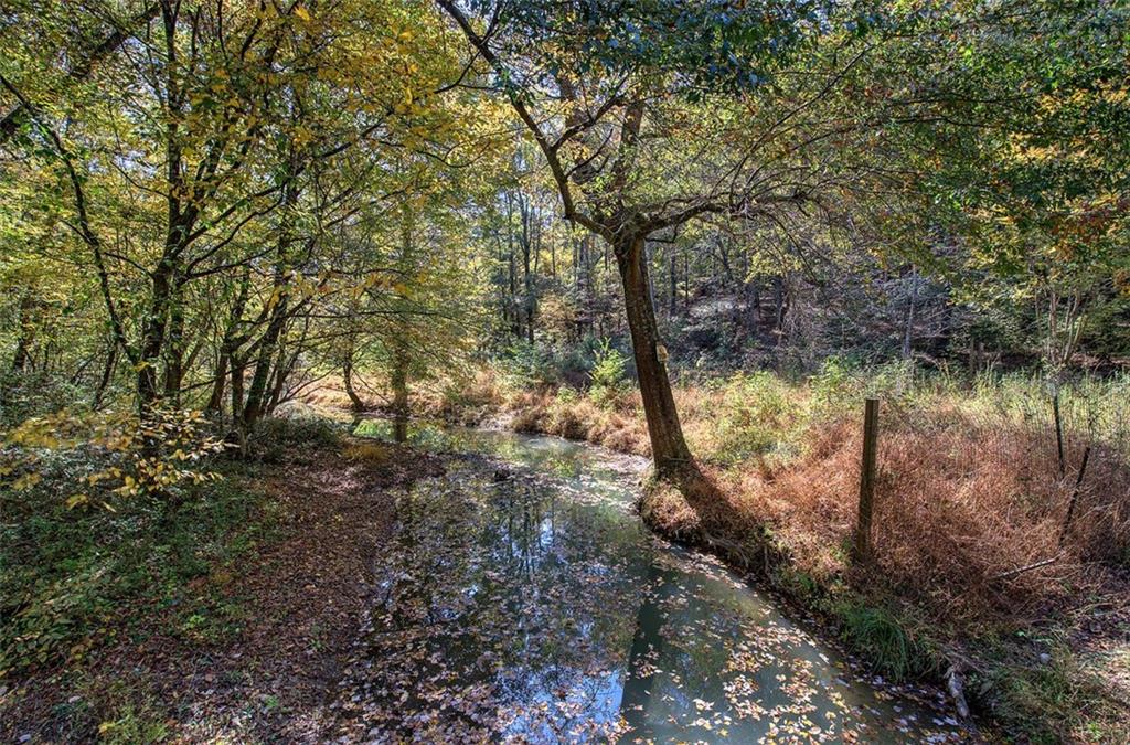 a view of a lake in between two large trees