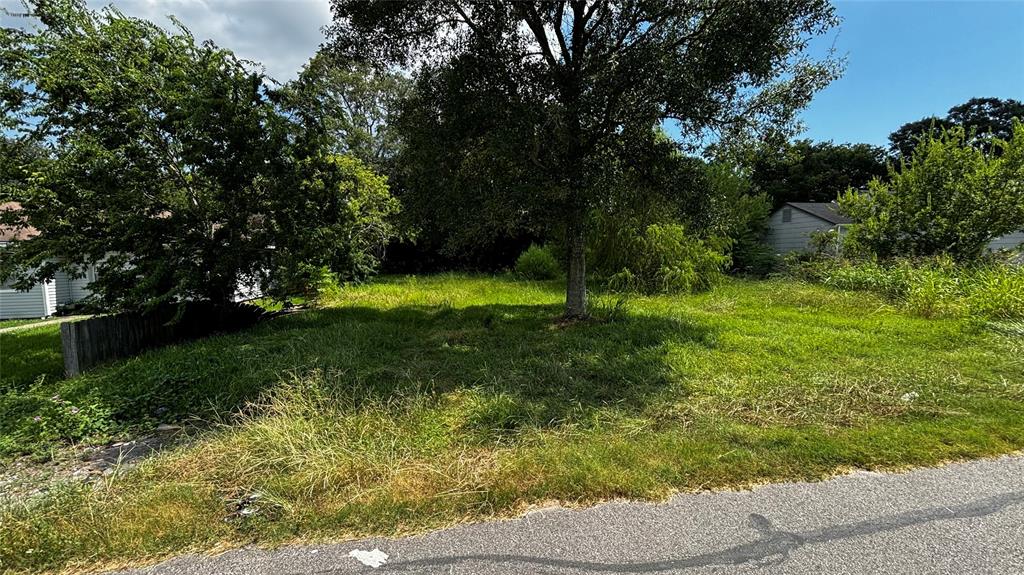 a view of a yard with large trees