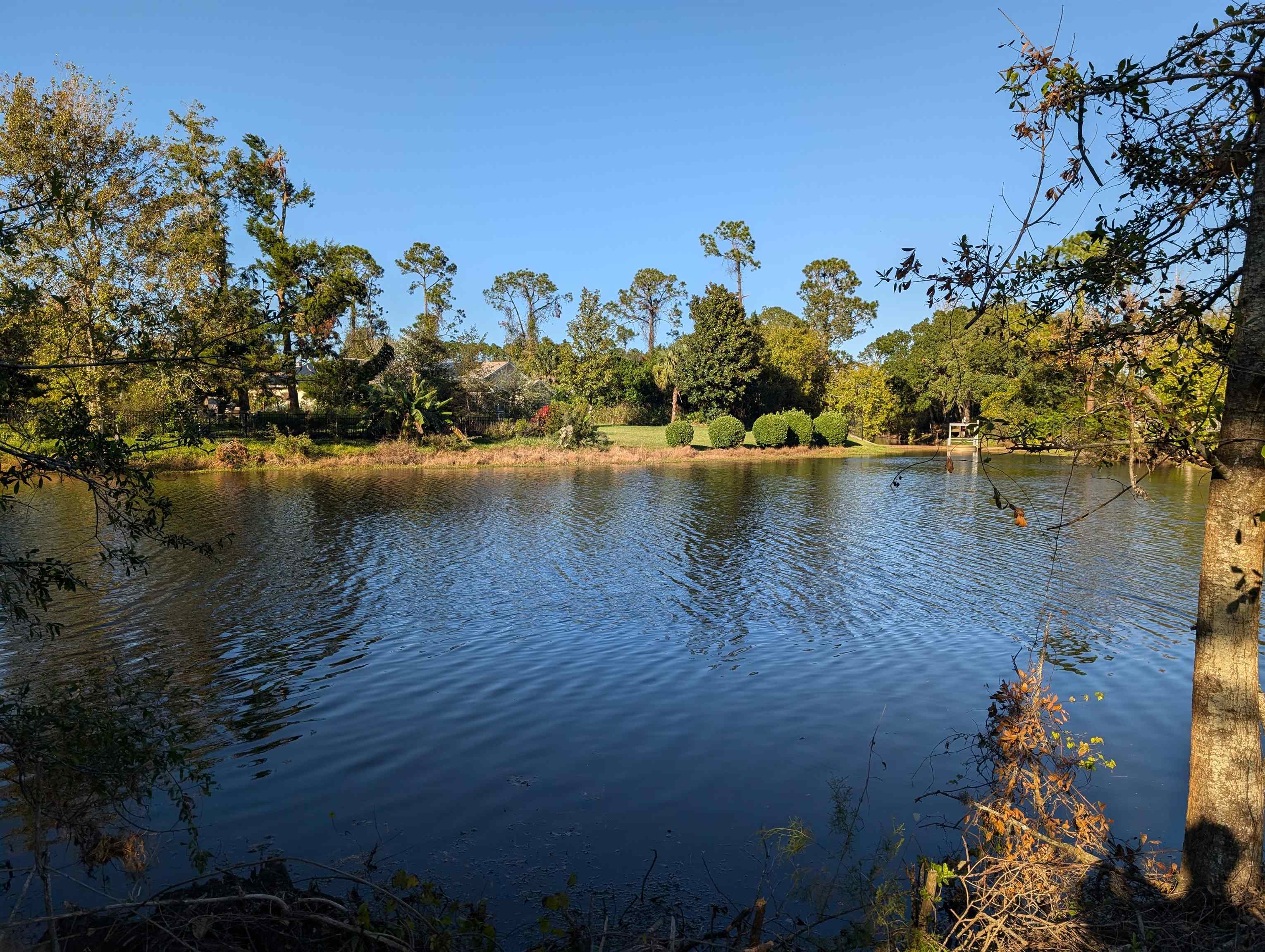 a view of a lake with a mountain