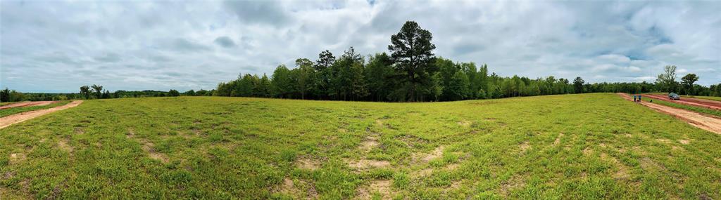 a view of a field with an trees in the background