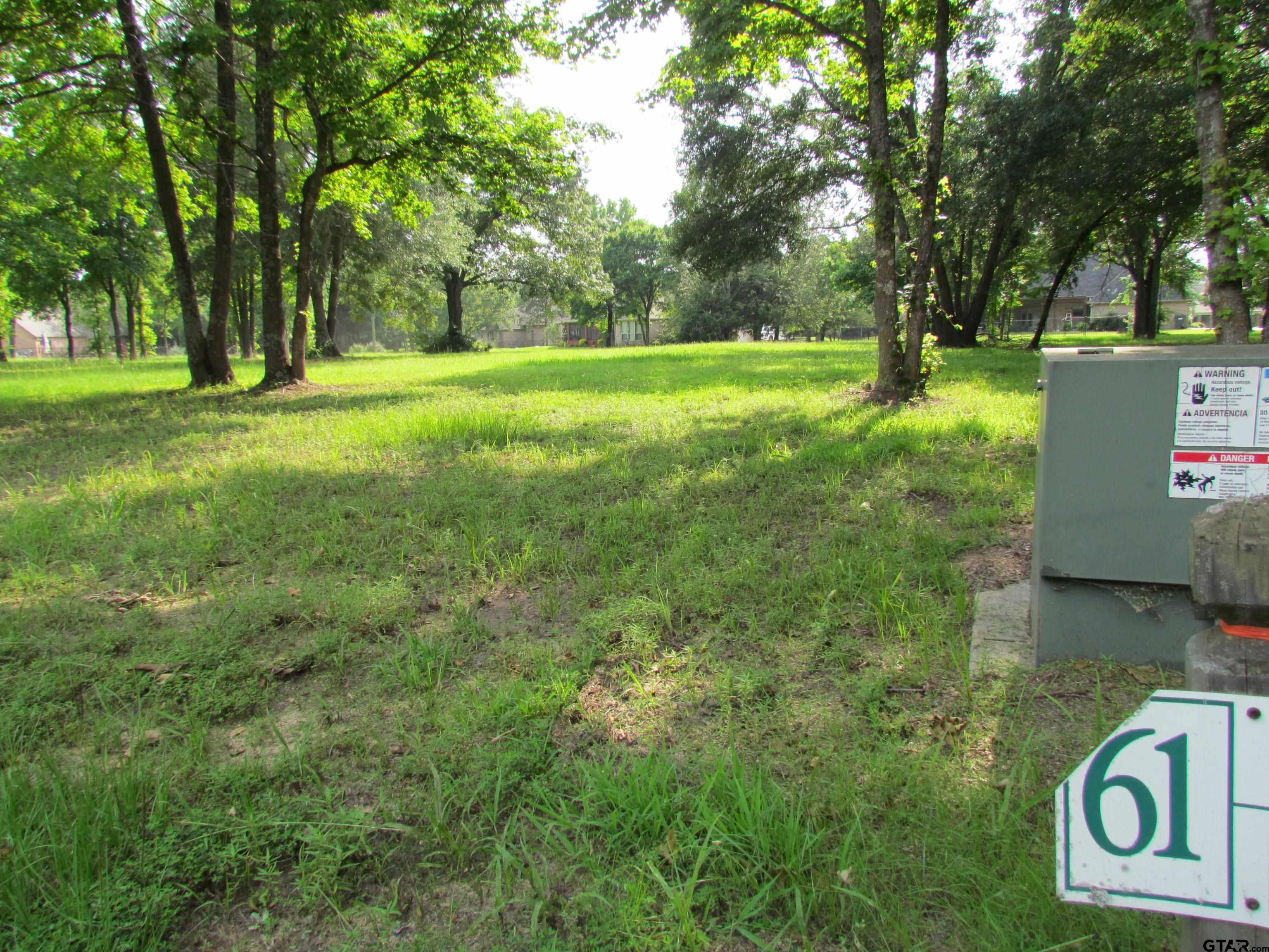 a view of a park with a trees