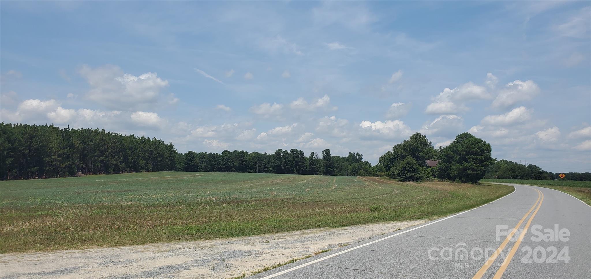 a view of a field with grass and trees in the background