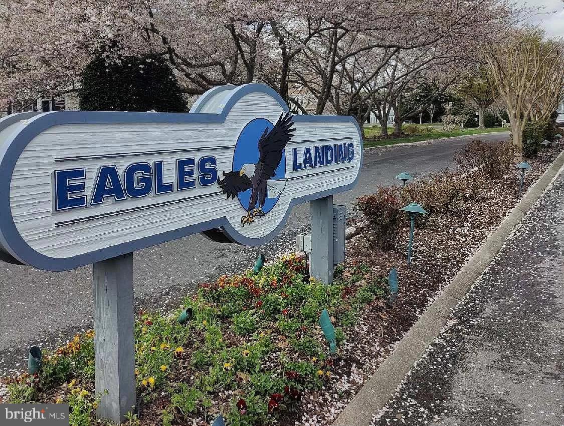 a view of a street sign under a tree