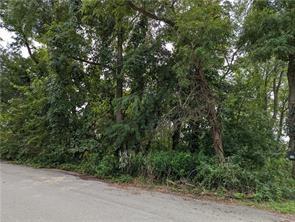 a view of a forest with trees