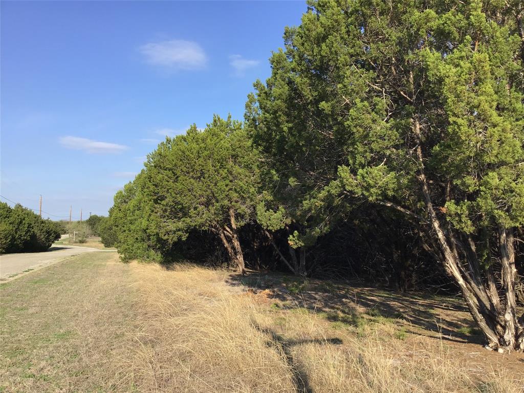 a view of a yard with trees