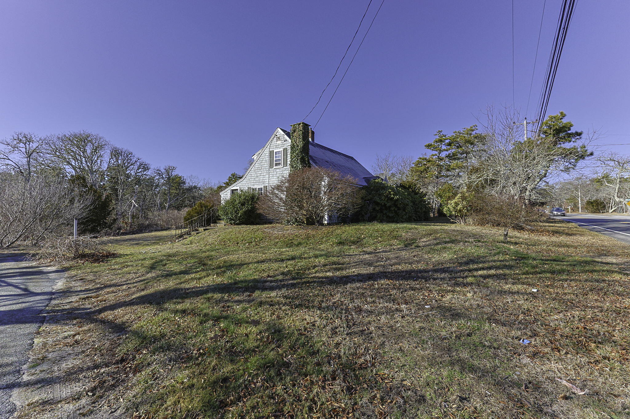 a view of a field with large trees