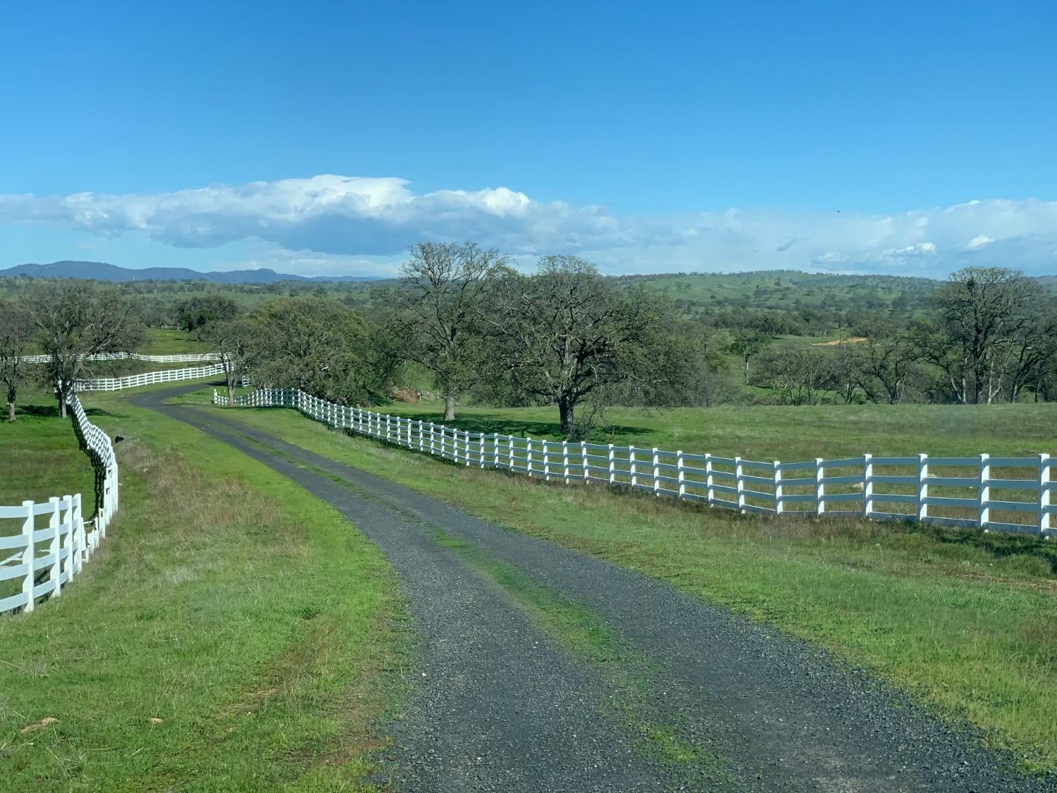 a view of a park with a big yard