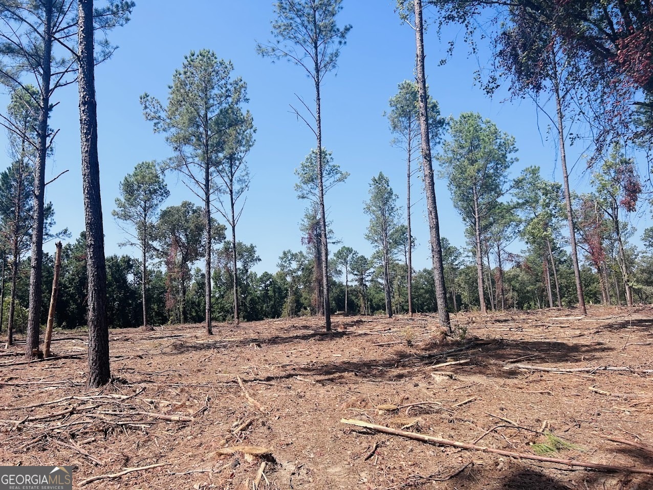 a view of road with trees