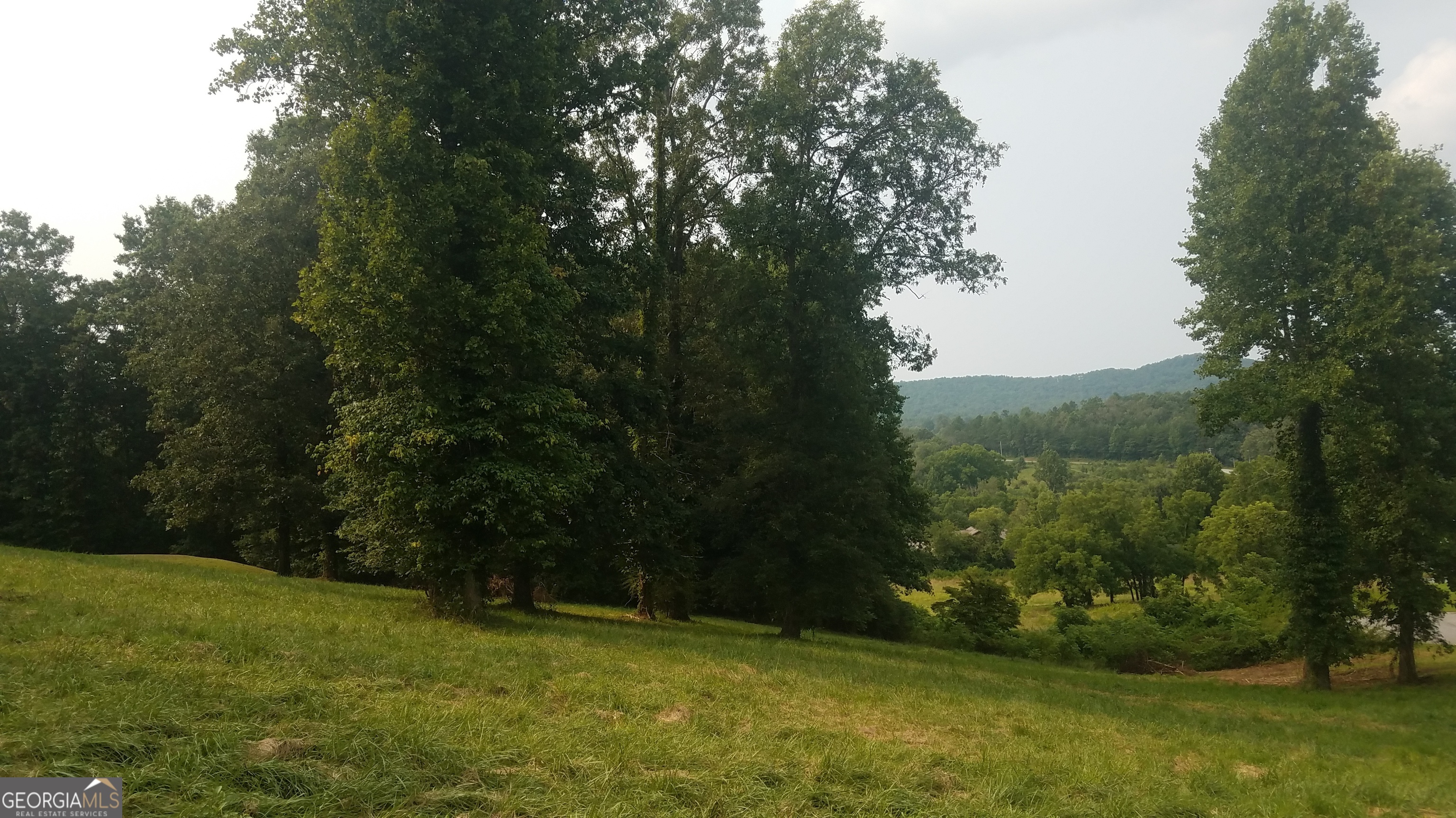 a view of an outdoor space and a yard