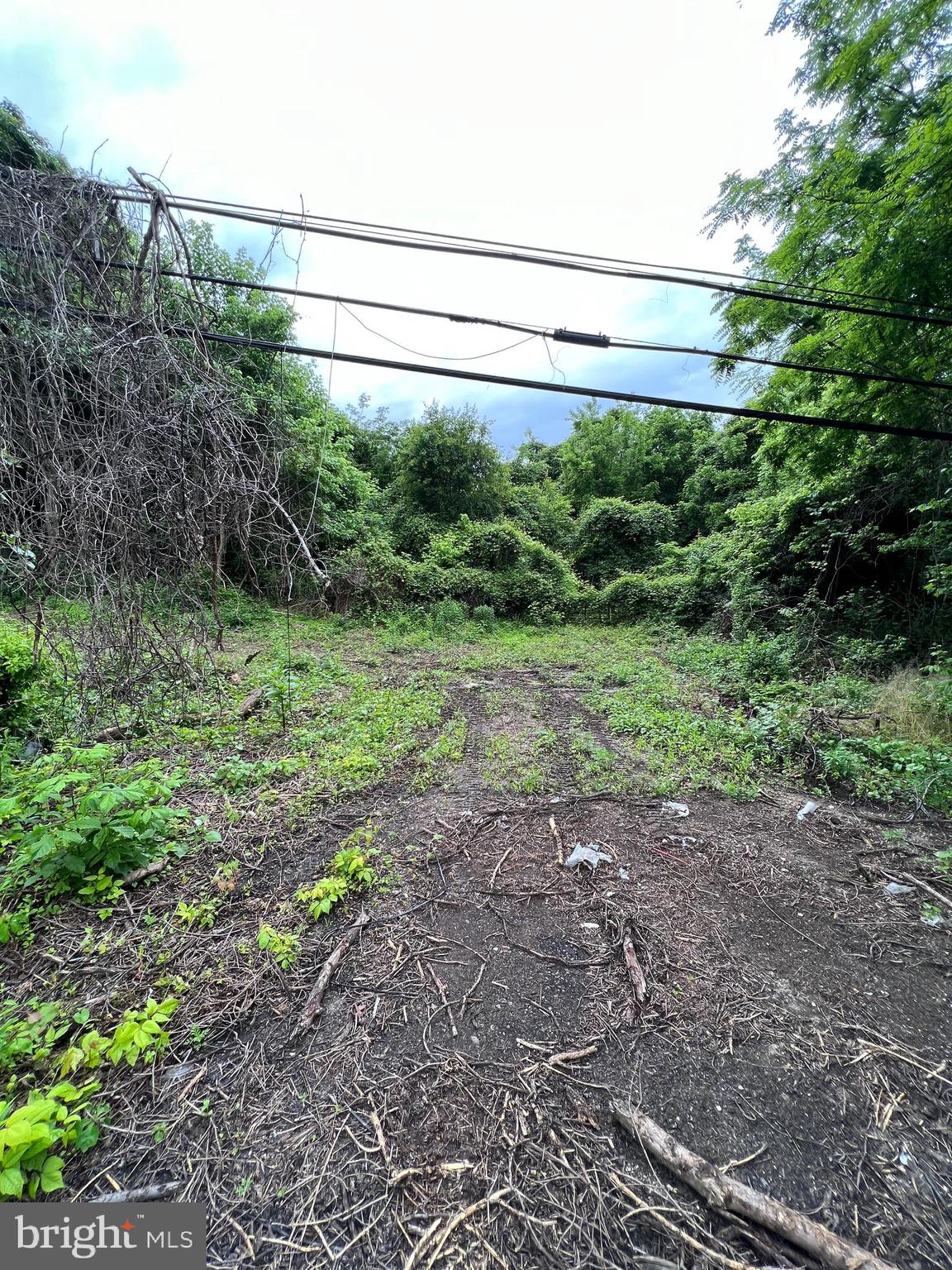 a view of a yard with a street