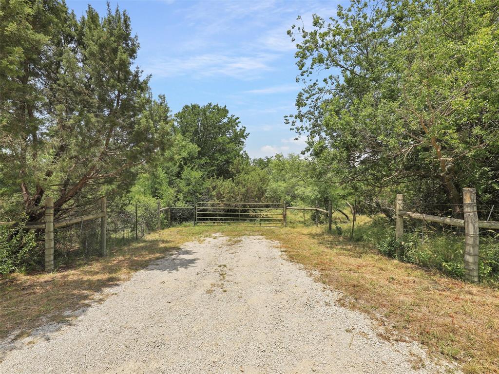 a view of a yard with an trees