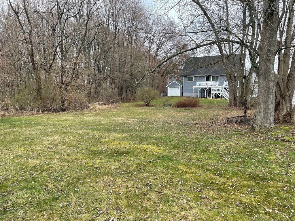 a big yard with road and trees