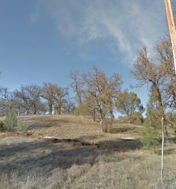 a view of dirt field with large trees