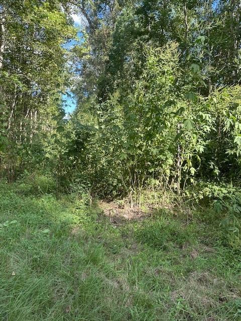 Teresa Ln is not paved, but utility easement runs along it