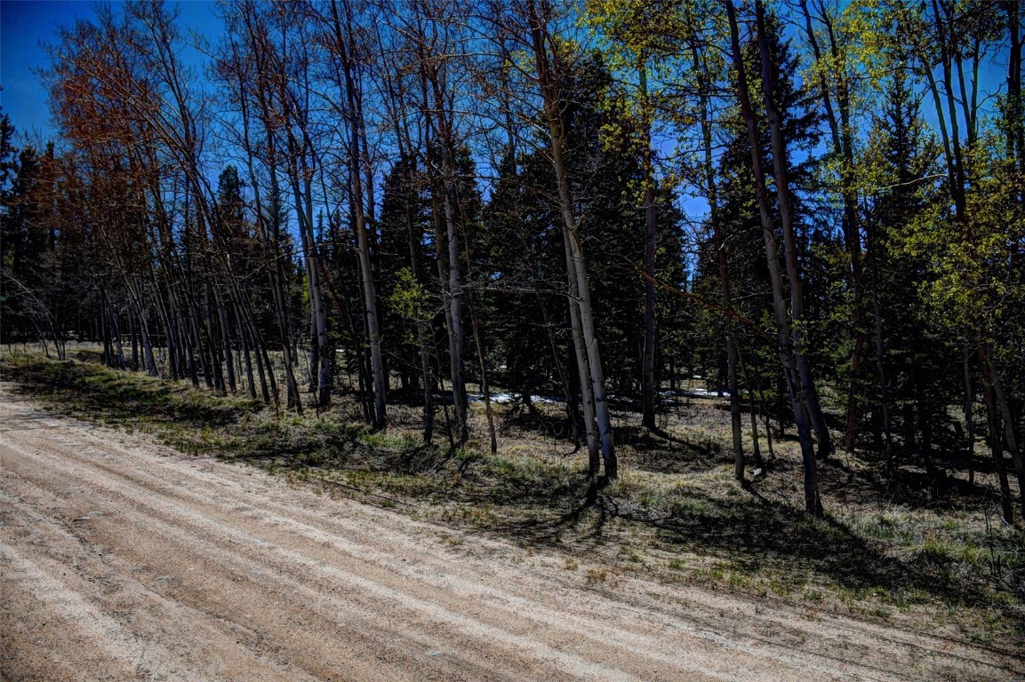 a view of outdoor space with lots of trees