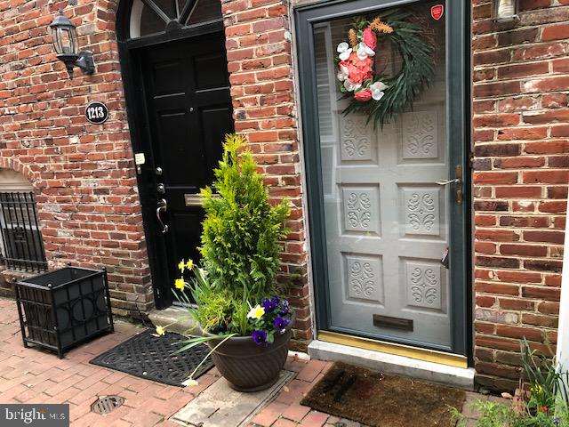 a view of a potted plant in front of a door