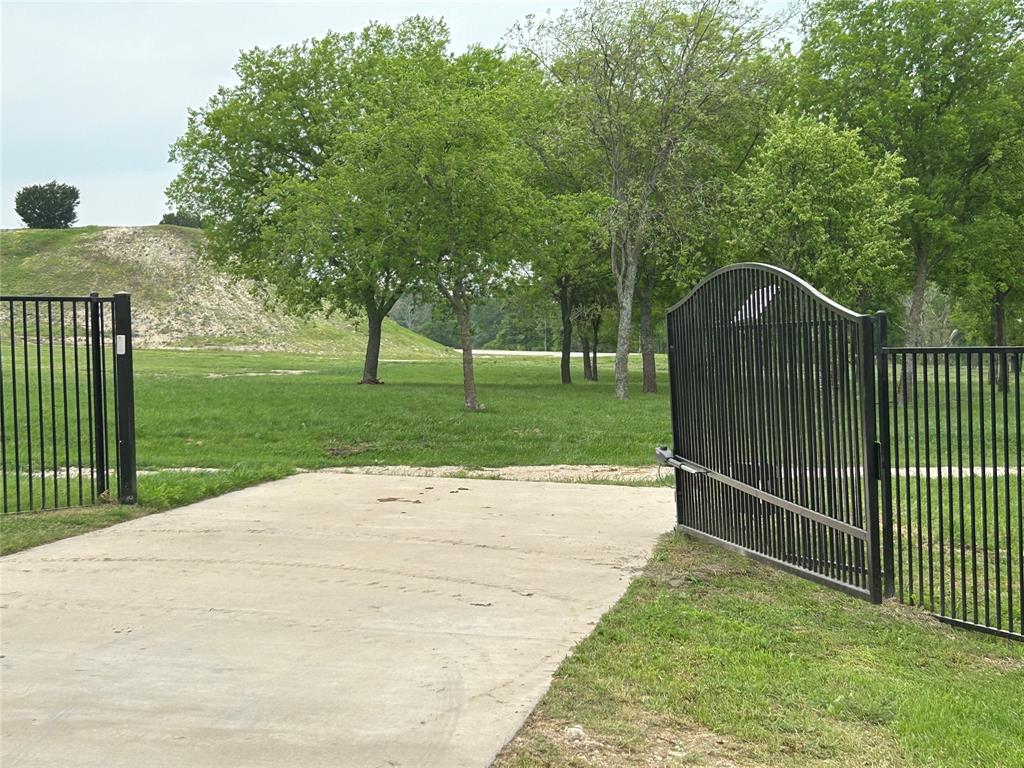 a view of a park with a large trees