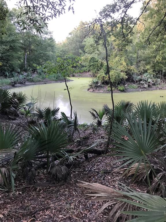 a view of a lake with a forest