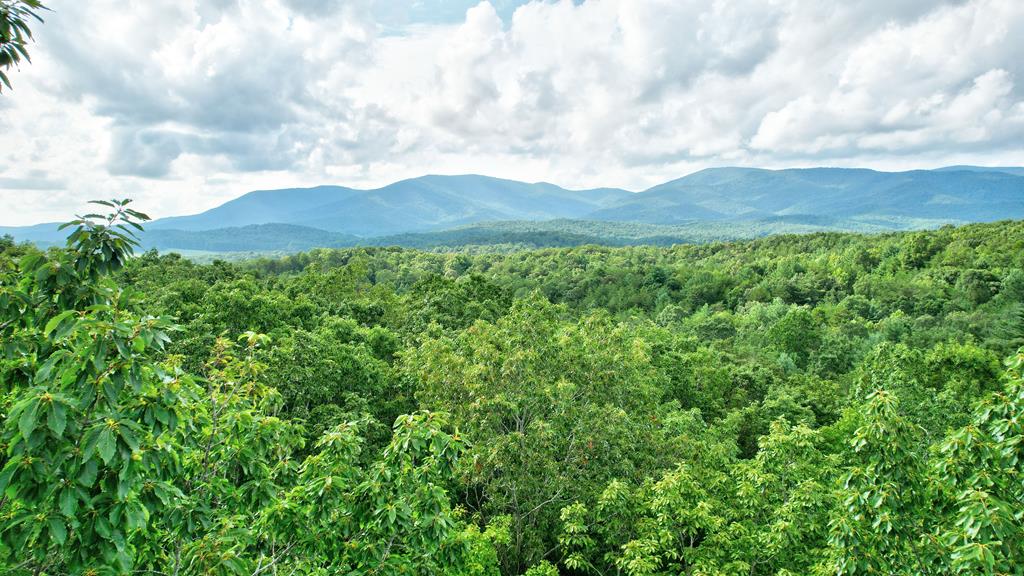 a view of a city with lush green forest