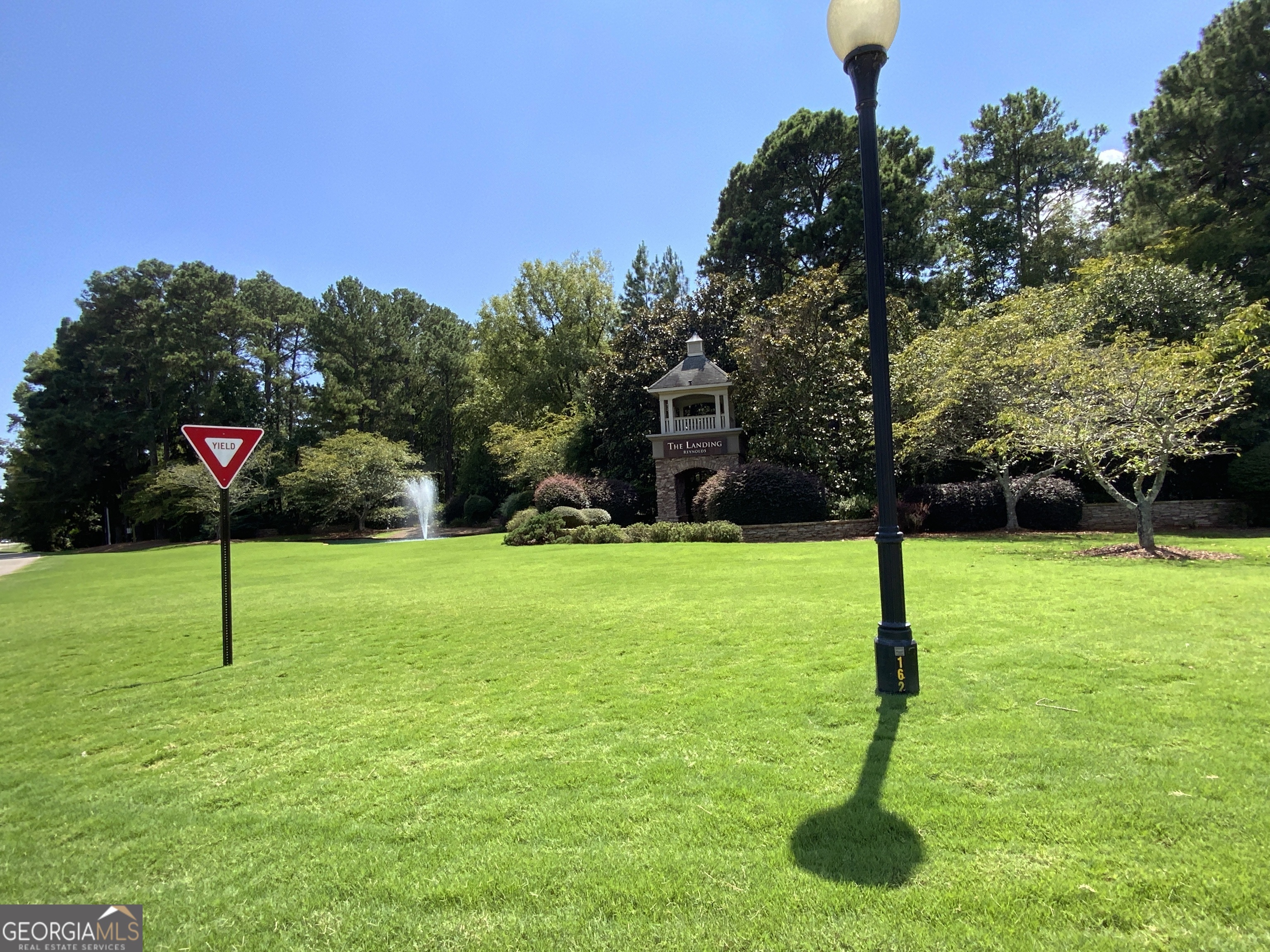 a view of a tree in a park